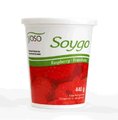 Soygo Fermented Cultured Soy - Raspberry